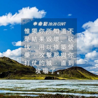 Picture 04 - 申 命 記 20:20 CUVT - 惟 獨 你 所 知 道 不 是 結 果 毀 壞 - Bible Verse Picture
