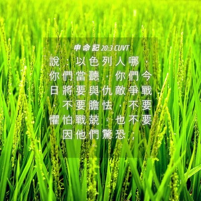 Picture 04 - 申 命 記 20:3 CUVT - 說 ： 以 色 列 人 哪 ， 你 們 當 聽 - Bible Verse Picture