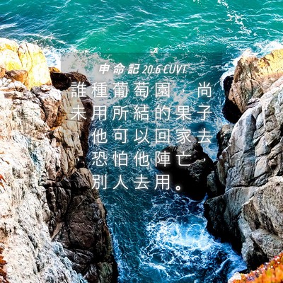 Picture 04 - 申 命 記 20:6 CUVT - 誰 種 葡 萄 園 ， 尚 未 用 所 結 的 - Bible Verse Picture