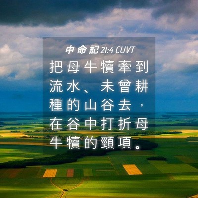 Picture 04 - 申 命 記 21:4 CUVT - 把 母 牛 犢 牽 到 流 水 、 未 曾 耕 - Bible Verse Picture