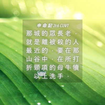 Picture 04 - 申 命 記 21:6 CUVT - 那 城 的 眾 長 老 ， 就 是 離 被 殺 - Bible Verse Picture