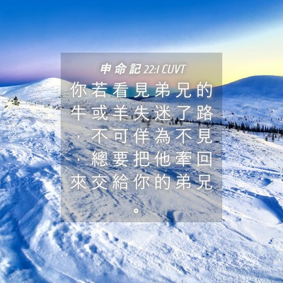 Picture 04 - 申 命 記 22:1 CUVT - 你 若 看 見 弟 兄 的 牛 或 羊 失 迷 - Bible Verse Picture
