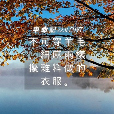 Picture 04 - 申 命 記 22:11 CUVT - 不 可 穿 羊 毛 、 細 麻 兩 樣 攙 雜 - Bible Verse Picture