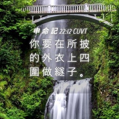 Picture 04 - 申 命 記 22:12 CUVT - 你 要 在 所 披 的 外 衣 上 四 圍 做 - Bible Verse Picture