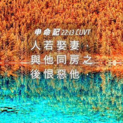 Picture 04 - 申 命 記 22:13 CUVT - 人 若 娶 妻 ， 與 他 同 房 之 後 恨 - Bible Verse Picture