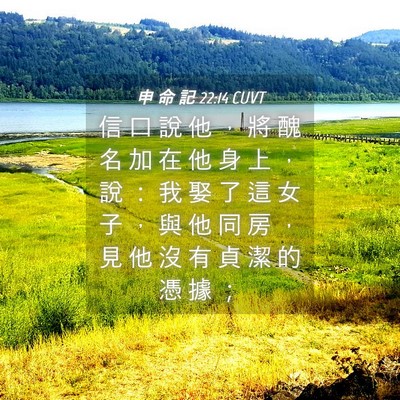 Picture 04 - 申 命 記 22:14 CUVT - 信 口 說 他 ， 將 醜 名 加 在 他 身 - Bible Verse Picture