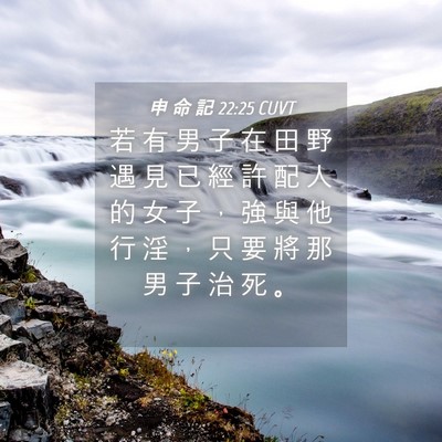 Picture 04 - 申 命 記 22:25 CUVT - 若 有 男 子 在 田 野 遇 見 已 經 許 - Bible Verse Picture