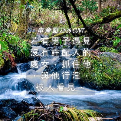 Picture 04 - 申 命 記 22:28 CUVT - 若 有 男 子 遇 見 沒 有 許 配 人 的 - Bible Verse Picture