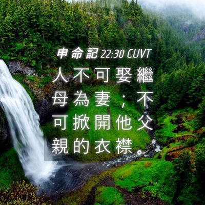 Picture 04 - 申 命 記 22:30 CUVT - 人 不 可 娶 繼 母 為 妻 ； 不 可 掀 - Bible Verse Picture