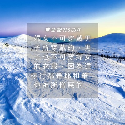 Picture 04 - 申 命 記 22:5 CUVT - 婦 女 不 可 穿 戴 男 子 所 穿 戴 的 - Bible Verse Picture