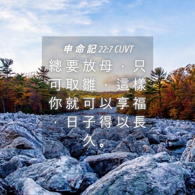 Picture 04 - 申 命 記 22:7 CUVT - 總 要 放 母 ， 只 可 取 雛 ， 這 樣 - Bible Verse Picture