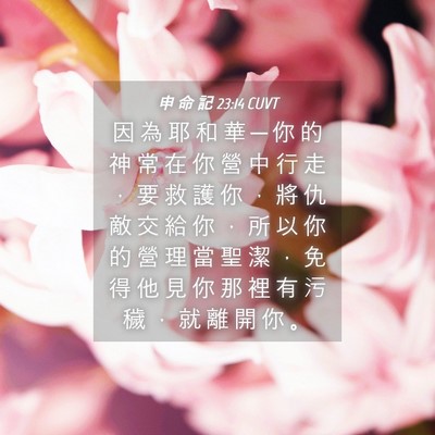Picture 04 - 申 命 記 23:14 CUVT - 因 為 耶 和 華 ─ 你 的 神 常 在 你 - Bible Verse Picture