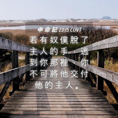 Picture 04 - 申 命 記 23:15 CUVT - 若 有 奴 僕 脫 了 主 人 的 手 ， 逃 - Bible Verse Picture