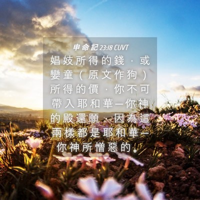 Picture 04 - 申 命 記 23:18 CUVT - 娼 妓 所 得 的 錢 ， 或 孌 童 （ 原 - Bible Verse Picture