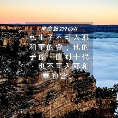 Picture 04 - 申 命 記 23:2 CUVT - 私 生 子 不 可 入 耶 和 華 的 會 ； - Bible Verse Picture