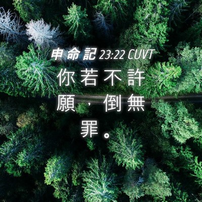 Picture 04 - 申 命 記 23:22 CUVT - 你 若 不 許 願 ， 倒 無 罪 - Bible Verse Picture