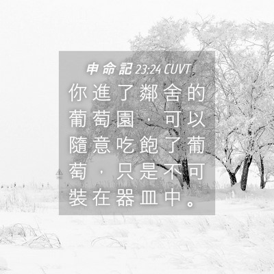 Picture 04 - 申 命 記 23:24 CUVT - 你 進 了 鄰 舍 的 葡 萄 園 ， 可 以 - Bible Verse Picture