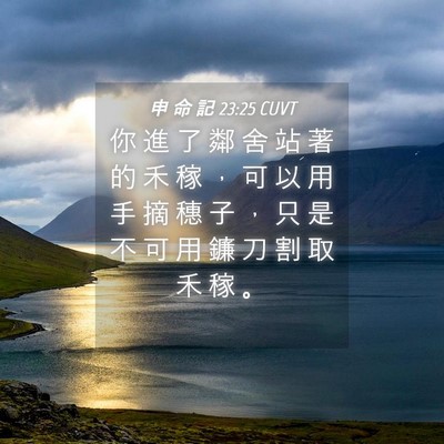 Picture 04 - 申 命 記 23:25 CUVT - 你 進 了 鄰 舍 站 著 的 禾 稼 ， 可 - Bible Verse Picture
