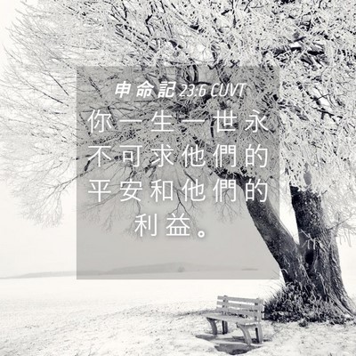 Picture 04 - 申 命 記 23:6 CUVT - 你 一 生 一 世 永 不 可 求 他 們 的 - Bible Verse Picture
