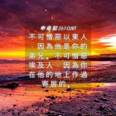 Picture 04 - 申 命 記 23:7 CUVT - 不 可 憎 惡 以 東 人 ， 因 為 他 是 - Bible Verse Picture