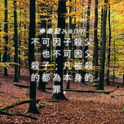 Picture 04 - 申 命 記 24:16 CUVT - 不 可 因 子 殺 父 ， 也 不 可 因 父 - Bible Verse Picture