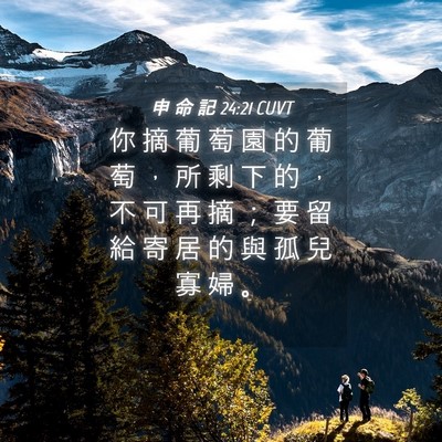 Picture 04 - 申 命 記 24:21 CUVT - 你 摘 葡 萄 園 的 葡 萄 ， 所 剩 下 - Bible Verse Picture