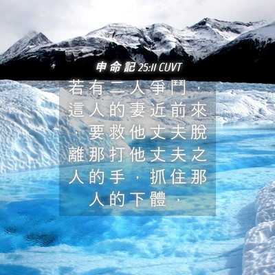 Picture 04 - 申 命 記 25:11 CUVT - 若 有 二 人 爭 鬥 ， 這 人 的 妻 近 - Bible Verse Picture