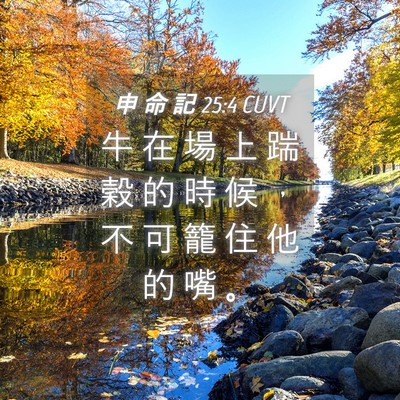 Picture 04 - 申 命 記 25:4 CUVT - 牛 在 場 上 踹 穀 的 時 候 ， 不 可 - Bible Verse Picture