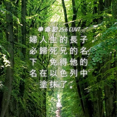 Picture 04 - 申 命 記 25:6 CUVT - 婦 人 生 的 長 子 必 歸 死 兄 的 名 - Bible Verse Picture