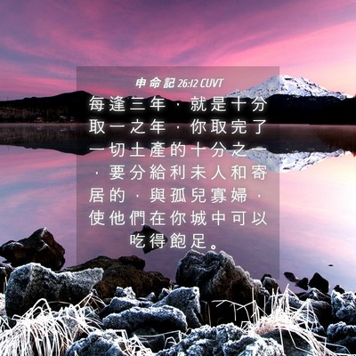 Picture 04 - 申 命 記 26:12 CUVT - 每 逢 三 年 ， 就 是 十 分 取 一 之 - Bible Verse Picture