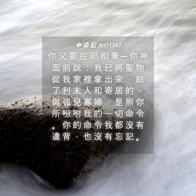 Picture 04 - 申 命 記 26:13 CUVT - 你 又 要 在 耶 和 華 ─ 你 神 面 前 - Bible Verse Picture