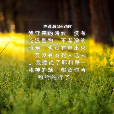 Picture 04 - 申 命 記 26:14 CUVT - 我 守 喪 的 時 候 ， 沒 有 吃 這 聖 - Bible Verse Picture