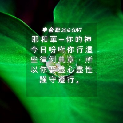 Picture 04 - 申 命 記 26:16 CUVT - 耶 和 華 ─ 你 的 神 今 日 吩 咐 你 - Bible Verse Picture