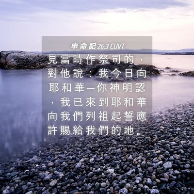 Picture 04 - 申 命 記 26:3 CUVT - 見 當 時 作 祭 司 的 ， 對 他 說 ： - Bible Verse Picture