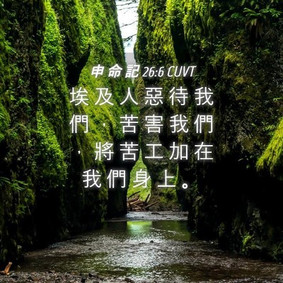 Picture 04 - 申 命 記 26:6 CUVT - 埃 及 人 惡 待 我 們 ， 苦 害 我 們 - Bible Verse Picture