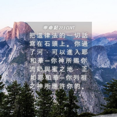 Picture 04 - 申 命 記 27:3 CUVT - 把 這 律 法 的 一 切 話 寫 在 石 頭 - Bible Verse Picture