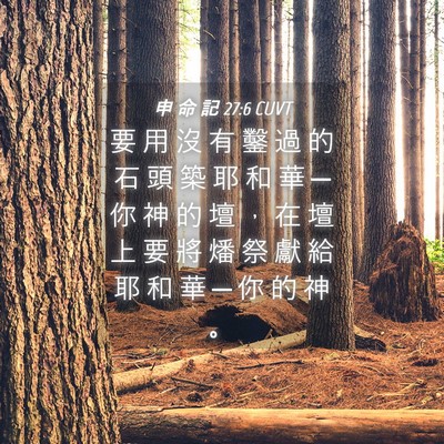 Picture 04 - 申 命 記 27:6 CUVT - 要 用 沒 有 鑿 過 的 石 頭 築 耶 和 - Bible Verse Picture
