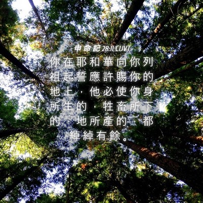 Picture 04 - 申 命 記 28:11 CUVT - 你 在 耶 和 華 向 你 列 祖 起 誓 應 - Bible Verse Picture