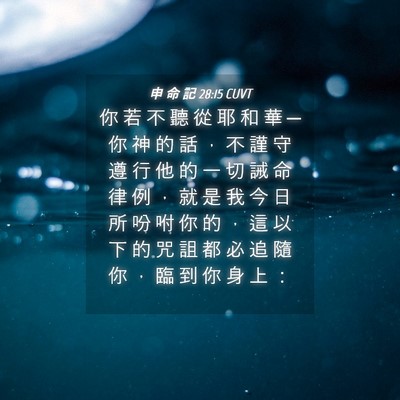 Picture 04 - 申 命 記 28:15 CUVT - 你 若 不 聽 從 耶 和 華 ─ 你 神 的 - Bible Verse Picture