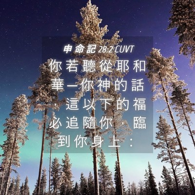 Picture 04 - 申 命 記 28:2 CUVT - 你 若 聽 從 耶 和 華 ─ 你 神 的 話 - Bible Verse Picture