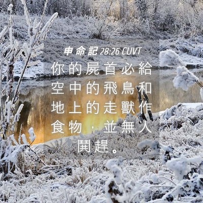 Picture 04 - 申 命 記 28:26 CUVT - 你 的 屍 首 必 給 空 中 的 飛 鳥 和 - Bible Verse Picture