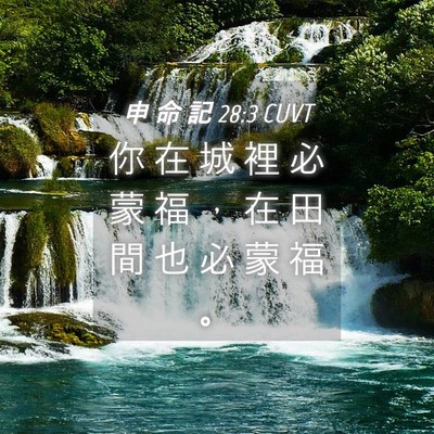 Picture 04 - 申 命 記 28:3 CUVT - 你 在 城 裡 必 蒙 福 ， 在 田 間 也 - Bible Verse Picture