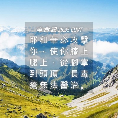 Picture 04 - 申 命 記 28:35 CUVT - 耶 和 華 必 攻 擊 你 ， 使 你 膝 上 - Bible Verse Picture