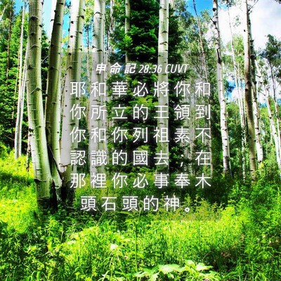 Picture 04 - 申 命 記 28:36 CUVT - 耶 和 華 必 將 你 和 你 所 立 的 王 - Bible Verse Picture