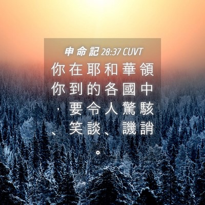 Picture 04 - 申 命 記 28:37 CUVT - 你 在 耶 和 華 領 你 到 的 各 國 中 - Bible Verse Picture