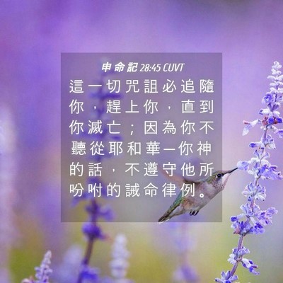 Picture 04 - 申 命 記 28:45 CUVT - 這 一 切 咒 詛 必 追 隨 你 ， 趕 上 - Bible Verse Picture