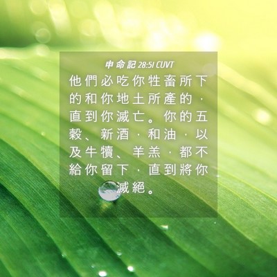 Picture 04 - 申 命 記 28:51 CUVT - 他 們 必 吃 你 牲 畜 所 下 的 和 你 - Bible Verse Picture