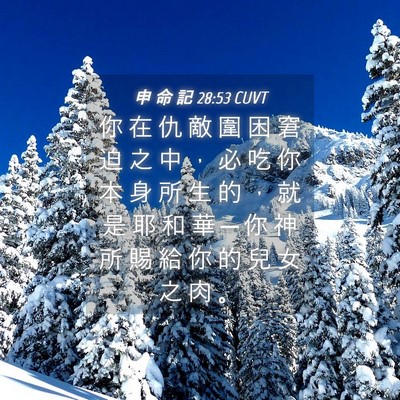 Picture 04 - 申 命 記 28:53 CUVT - 你 在 仇 敵 圍 困 窘 迫 之 中 ， 必 - Bible Verse Picture