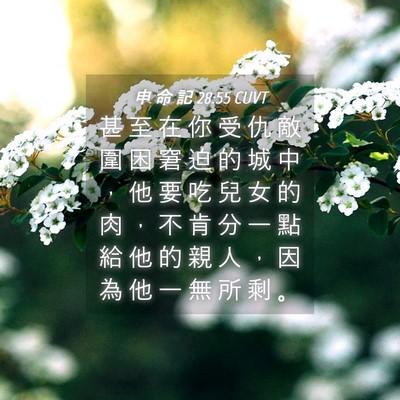 Picture 04 - 申 命 記 28:55 CUVT - 甚 至 在 你 受 仇 敵 圍 困 窘 迫 的 - Bible Verse Picture