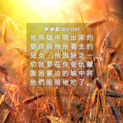 Picture 04 - 申 命 記 28:57 CUVT - 他 兩 腿 中 間 出 來 的 嬰 孩 與 他 - Bible Verse Picture